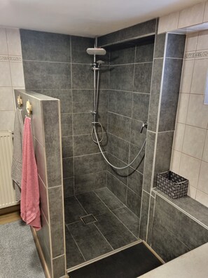 Shower, hair dryer, towels, soap - Idyllic vacation apartment (Schollbrunn)