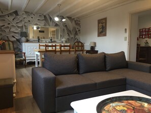 TV, fireplace - LA MAISON DE BEL AIR 2KM FROM ALBI CATHEDRAL (Le Sequestre)