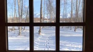 A window with a view of a snowy landscape, including trees and a mountain in the background.