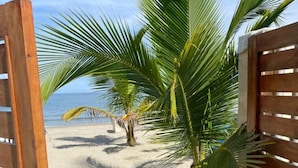 Una verja de madera da paso a una playa arenosa con palmeras y vistas al océano.