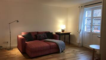 TV, DVD player, books, video library