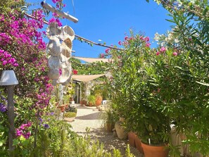 Property grounds - Vila Verão Adults only (Santa Bárbara de Nexe)