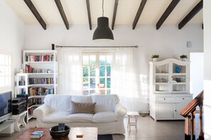 TV, fireplace, DVD player, books - Charming Villa above Rethymno Family Friendly (Oros)