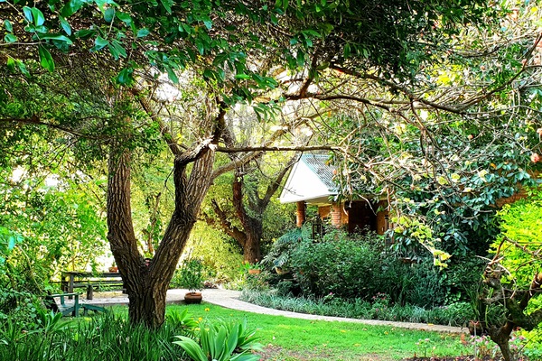 Bushbaby Cottage nestled in a lush garden surrounded by nature