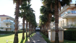 Un chemin bordé de palmiers menant à un bâtiment doté de balcons.