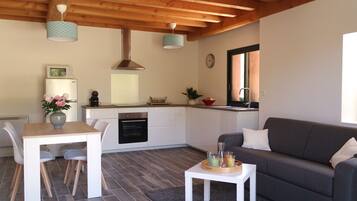 Televisio, DVD-soitin, pöytätennispöytä, kirjoja