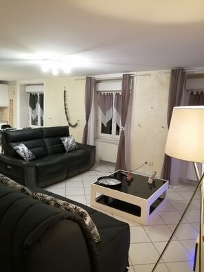 Télévision, lecteur de DVD, livres