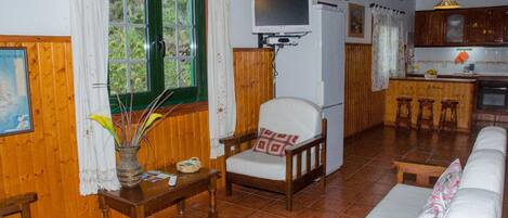 Télévision