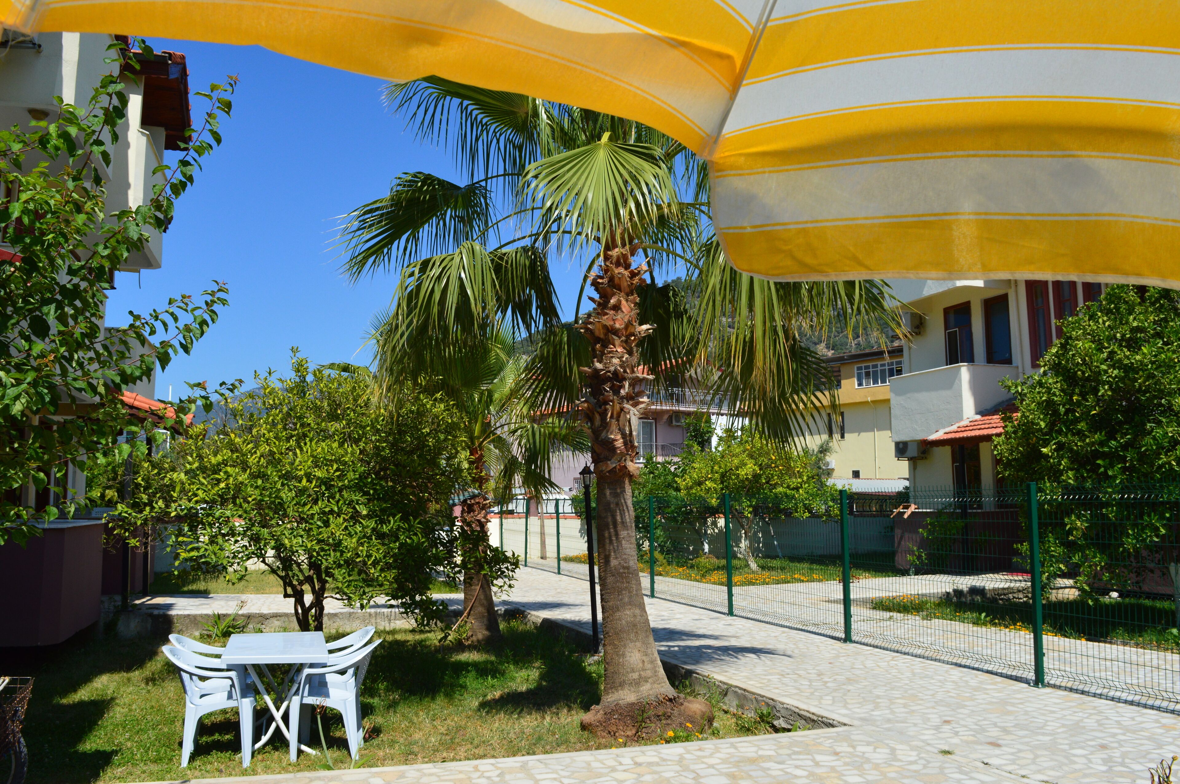 A courtyard with a palm tree, a table with chairs, and a yellow umbrella.