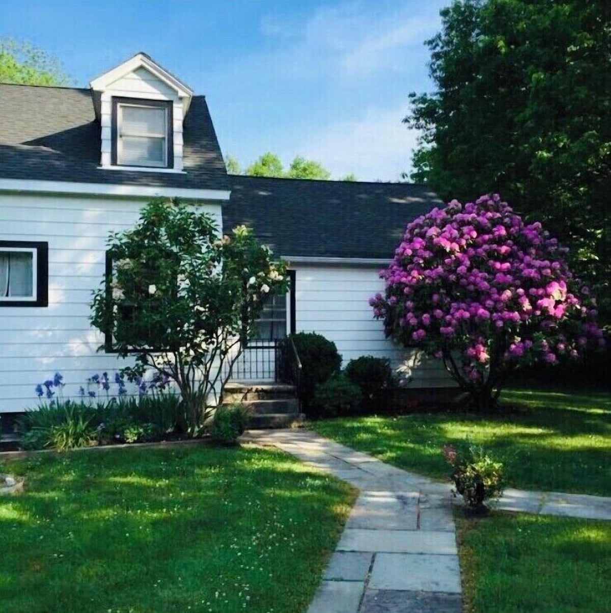 Imagen de perfil del propietario o de la propietaria