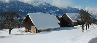 Holiday house Dünserberg for 1 - 9 persons with 4 bedrooms - Twin house