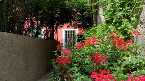 A stone staircase leading up to a building with a metal gate, surrounded by lush greenery and vibrant red flowers.