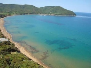 Enjoy breathtaking views of the ocean and a serene beach with lush vegetation.