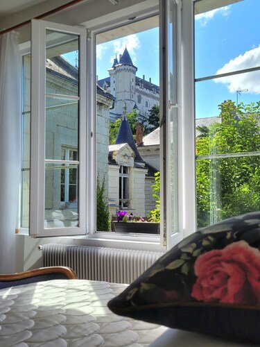 Splendid view of the Château and the Loire