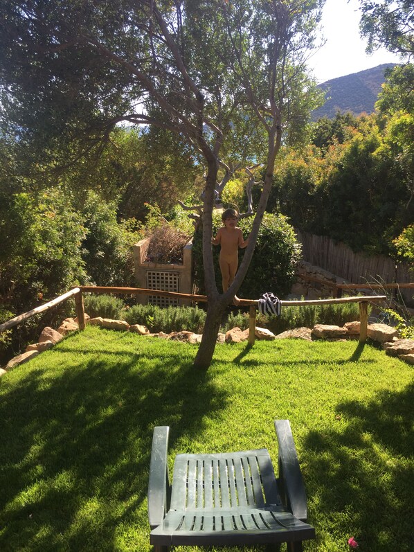 A grassy backyard with a wooden bench, a tree, and a fence. - Porto Sa Ruxi: Apartment/ flat - Porto Sa Ruxi (Porto Sa Ruxi)