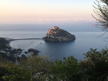 View from the house