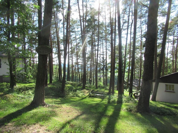 Property grounds - Holiday houses with a pool, in a quiet location by the edge of a forest (Niederaula)