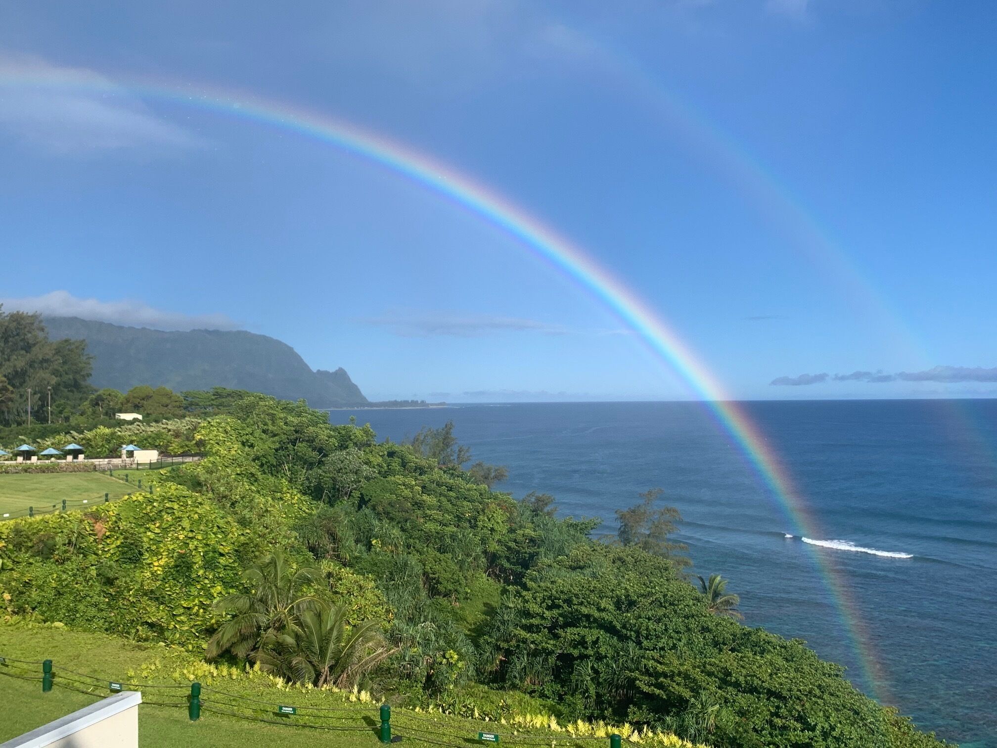 A lush green landscape with a clear view of the ocean and a rainbow arching over it.