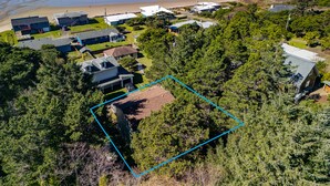 Oversigtsbillede af et kystnære boligområde med huse, en strand og tæt skov.