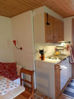 Fridge, microwave, dishwasher, toaster