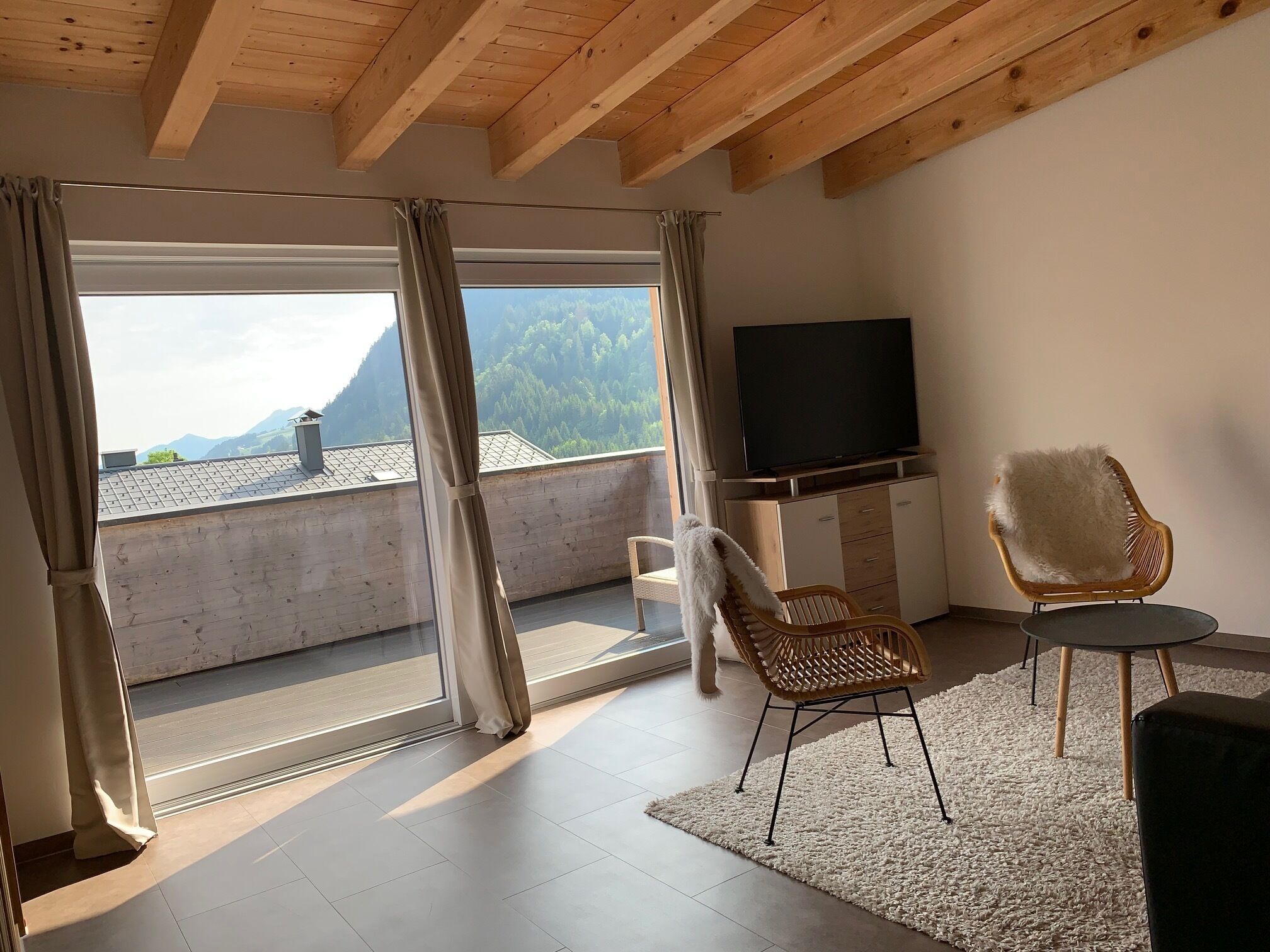 Fernseher