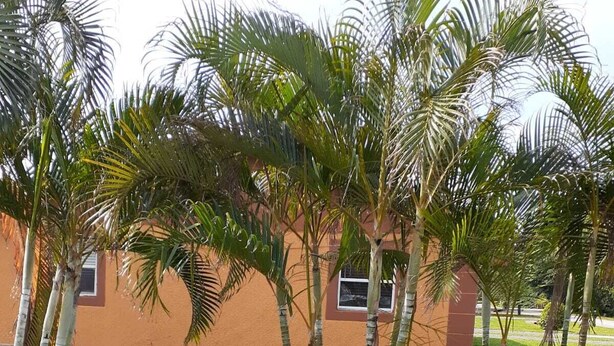 A building with a flat roof and a small window. - JLS Apartments Comples (Vero Beach)