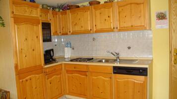 Fridge, microwave, stovetop, dishwasher