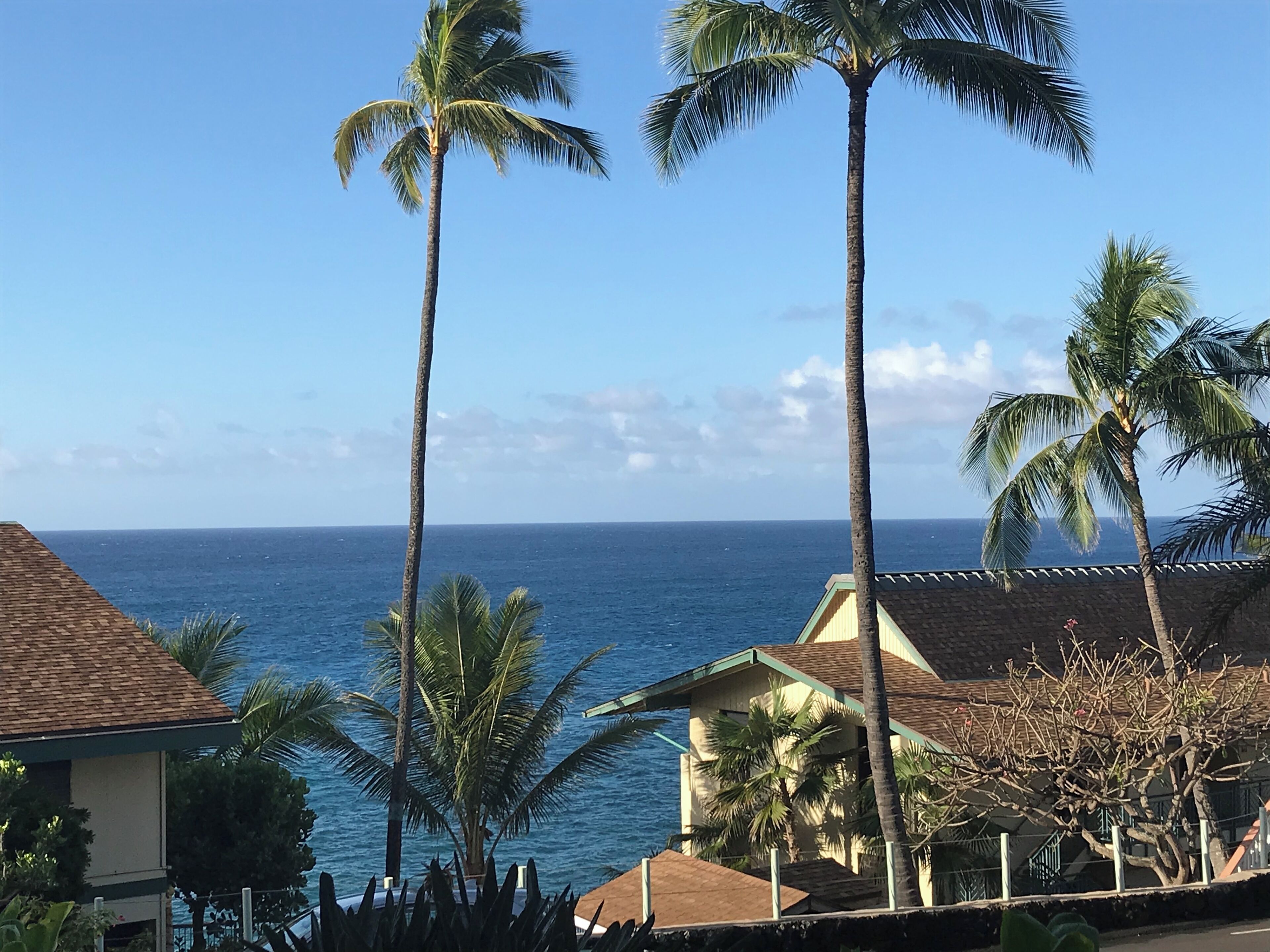 Beautiful Ocean View Condo 5 min Stroll to Popular Beaches