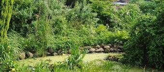 Holiday apartment Goosefeld for 1 - 3 persons with 1 bedroom - Holiday apartment