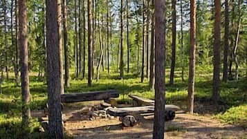 Ulkoalueet