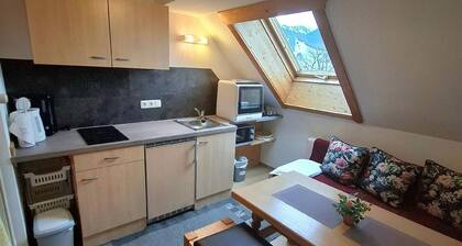 Holiday apartment Unterammergau for 1 - 5 persons with 2 bedrooms - Holiday apartment in one or mult