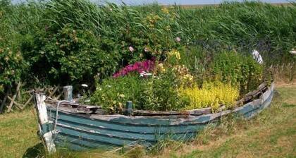 Ferienhaus Pellworm (Ort) für 1 - 2 Personen mit 1 Schlafzimmer - Ferienhaus