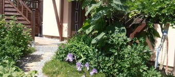 Holiday apartment Schwarzenberg for 1 - 4 persons with 2 bedrooms - Holiday house