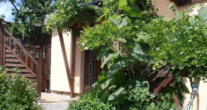 Ferienwohnung Schwarzenberg für 1 - 4 Personen mit 2 Schlafzimmern - Ferienhaus