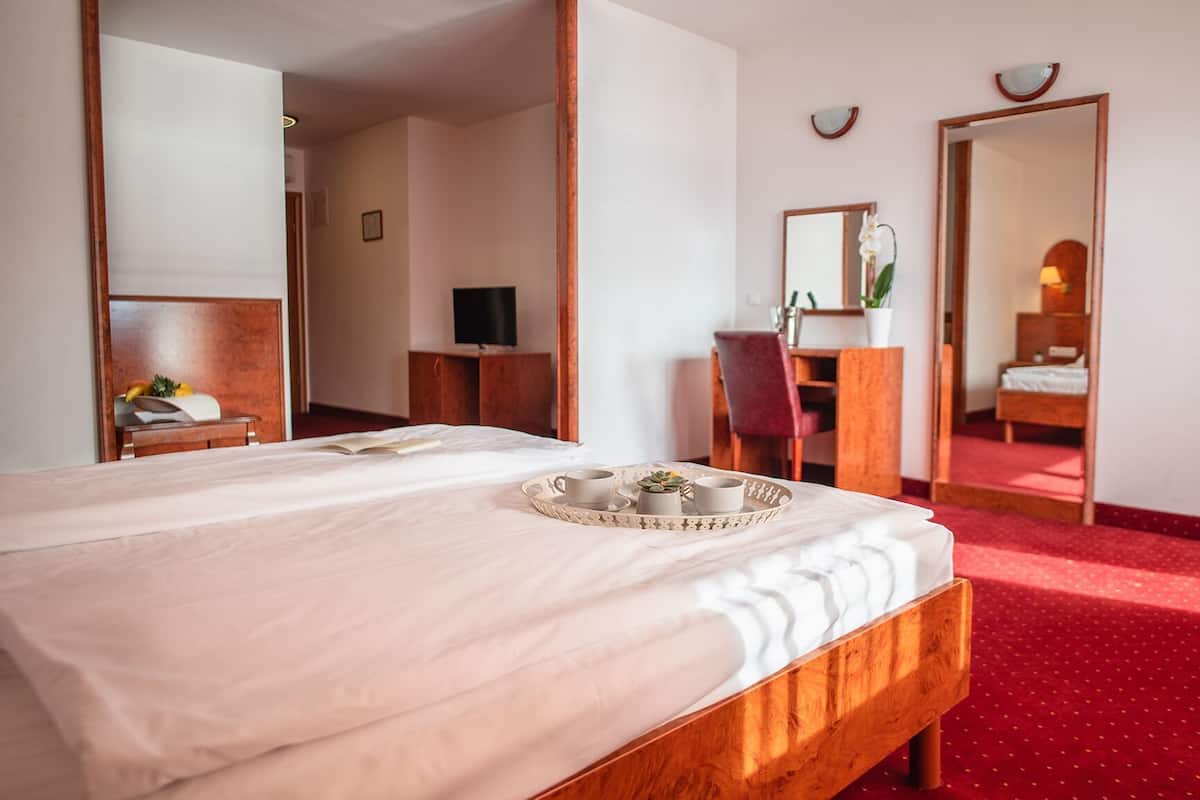 Une chambre d’hôtel avec un grand lit, un bureau, une chaise, une télévision et un miroir.