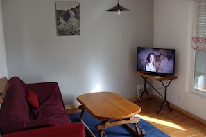 TV, fireplace, books