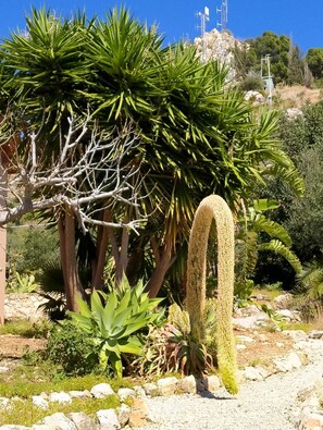 Detalle del exterior