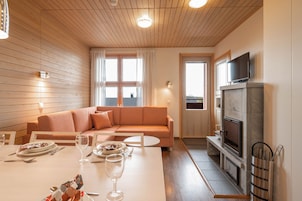 AurinkoRinne 49, Sauna | Living area | 32-inch flat-screen TV with digital channels, TV, fireplace