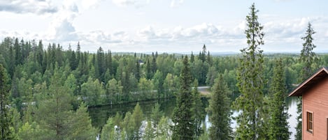 A cabin surrounded by dense forest and a lake.