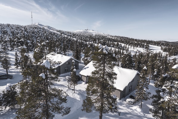 A snow-covered residential area with houses and dense forest. - Ski-Inn MastonAitio (Kuusamo)