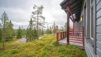 MastonAitio 70, Sauna | Terraza o patio