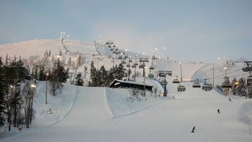 Snø- og skisport
