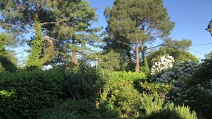 A garden with various trees and shrubs, a gravel path, and a white flowering bush. - Au Bien Venu (Noe)