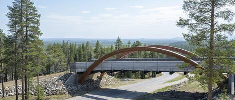 A bridge with a curved arch over a road, surrounded by trees and a clear sky.