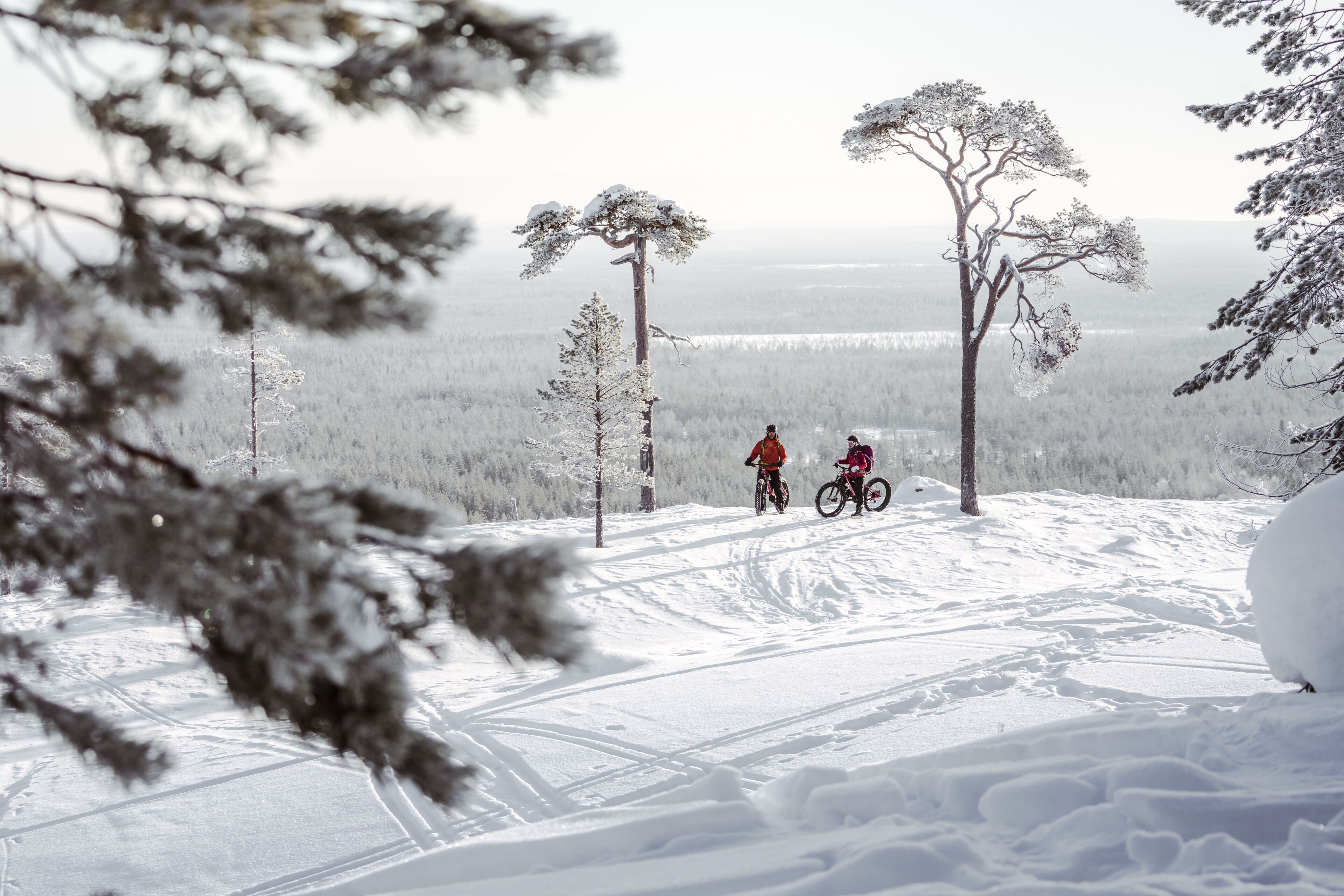 A snowy landscape with two people on bicycles, trees, and a clear view of the horizon.