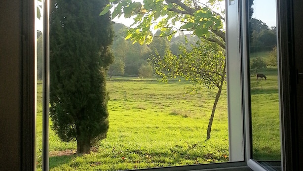 A window with a view of a grassy field and trees.