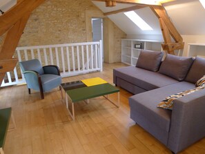 TV, DVD player, books, video library