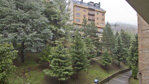 Zona residencial amb una filera d'arbres i un edifici al fons.