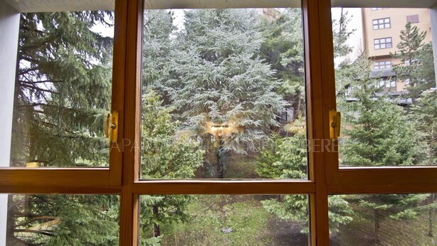 Vista a través d'una finestra de vidres múltiples, que mostra una forest densa i un llum de carrer.