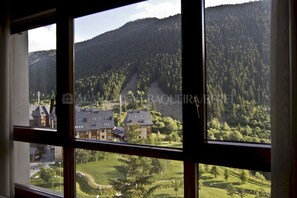 Interior - Edelweiss - Edificio Bonaigua (Baqueira)